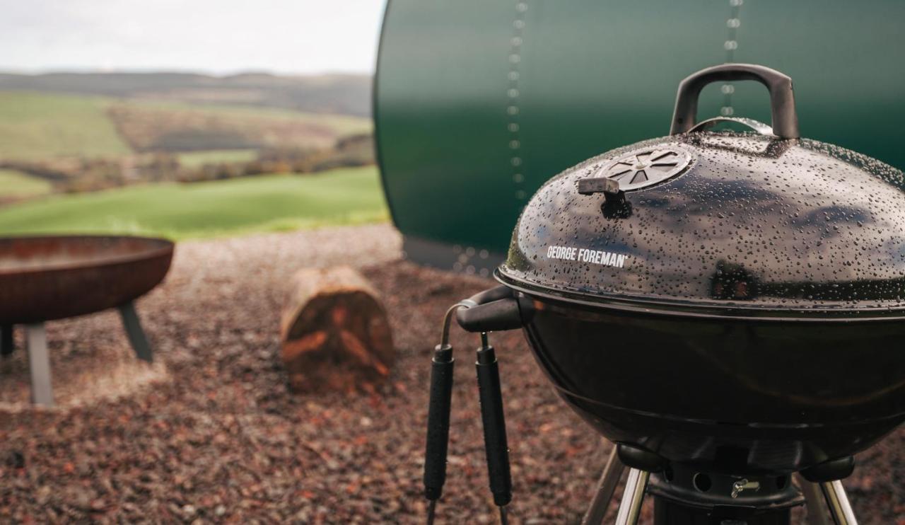 Forth Mountain Glamping Ballintlea 外观 照片