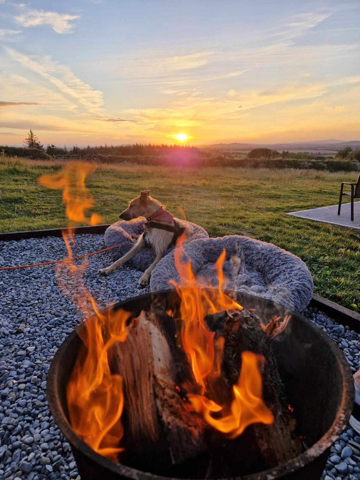 Forth Mountain Glamping Ballintlea 外观 照片
